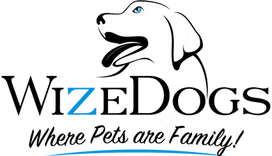 Dog Training in Phoenix, AZ | WizeDogs